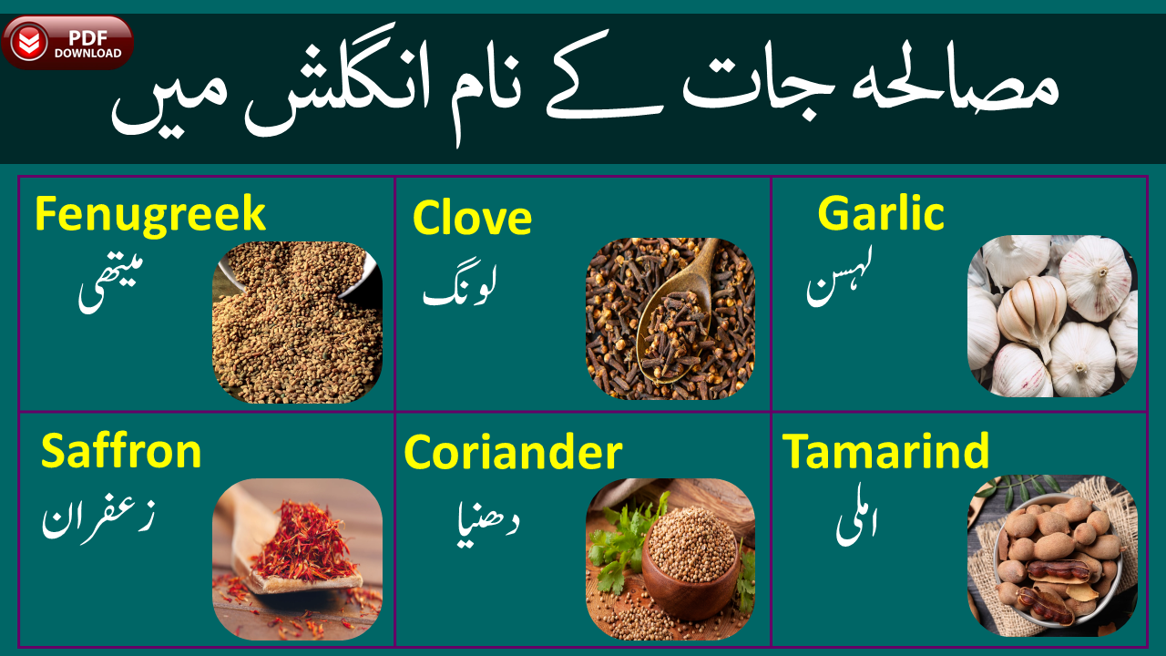 Name Of Spices In English With Urdu Meaning PDF Angrezify