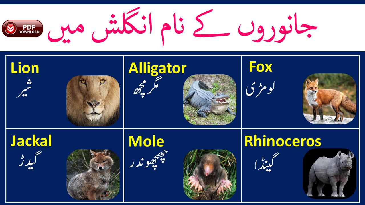 names-of-animals-in-english-with-urdu-meaning-pdf-angrezify