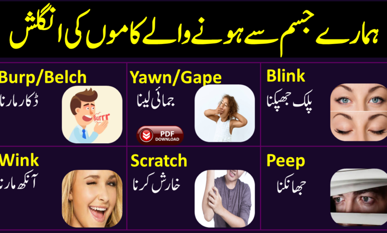 Cheeky Meaning In Urdu, Shokh شوخ