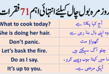 Idle Meaning In Urdu, Sust سست