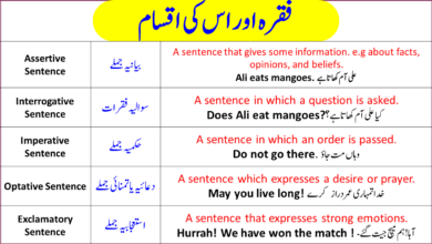 English Vocabulary In Urdu For Body Actions And Movements - Angrezify