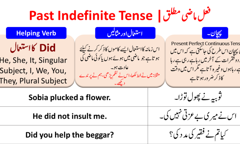 past-indefinite-tense-in-urdu-with-examples-pdf-angrezify