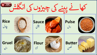 Snacking Meaning In Urdu, Haazri حاضری