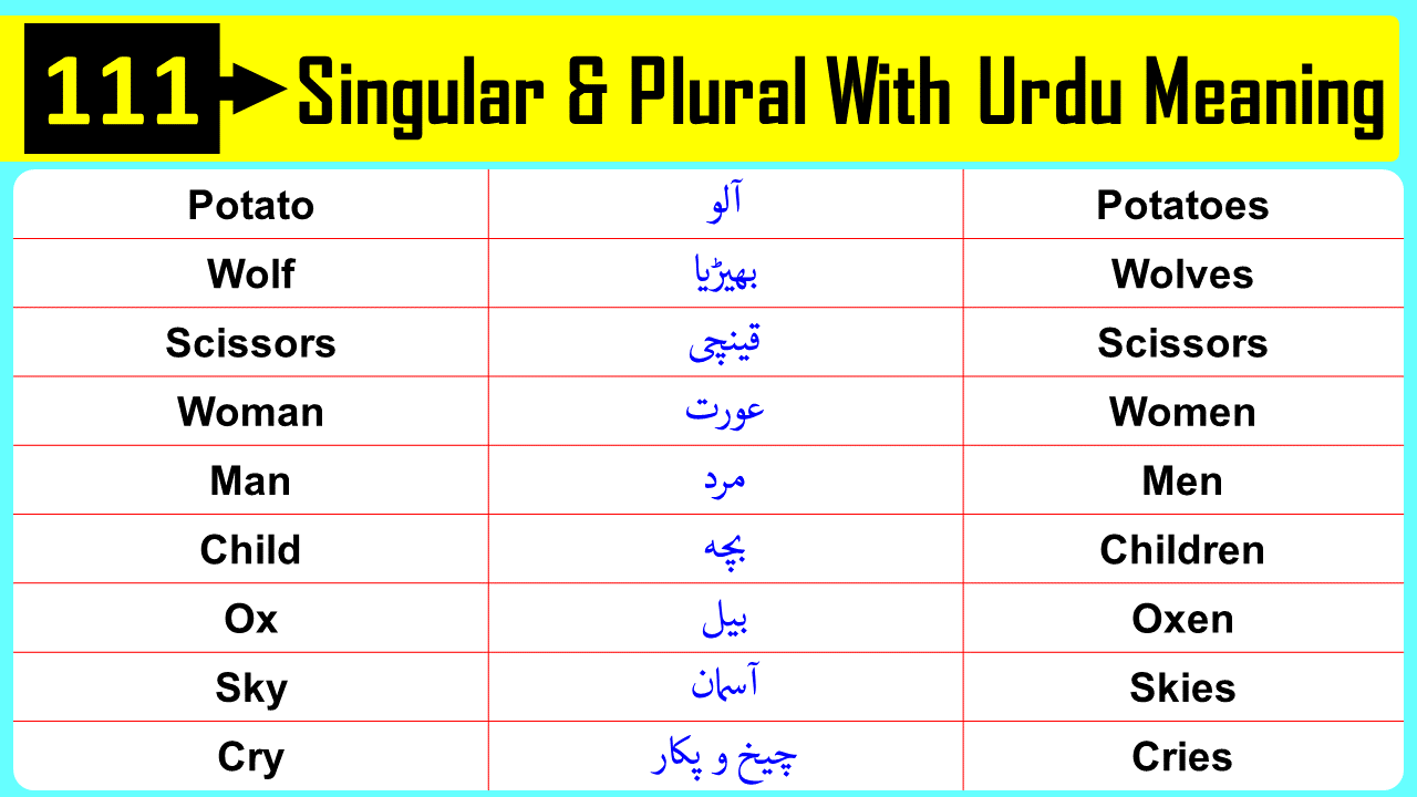 111-singular-and-plural-list-with-urdu-meaning-pdf-angrezify