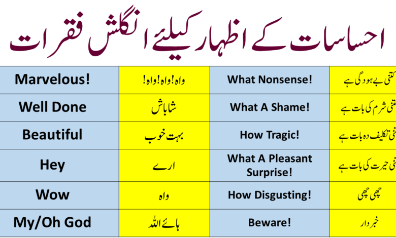 Feelings And Emotions Vocabulary Words In Urdu PDF - Angrezify