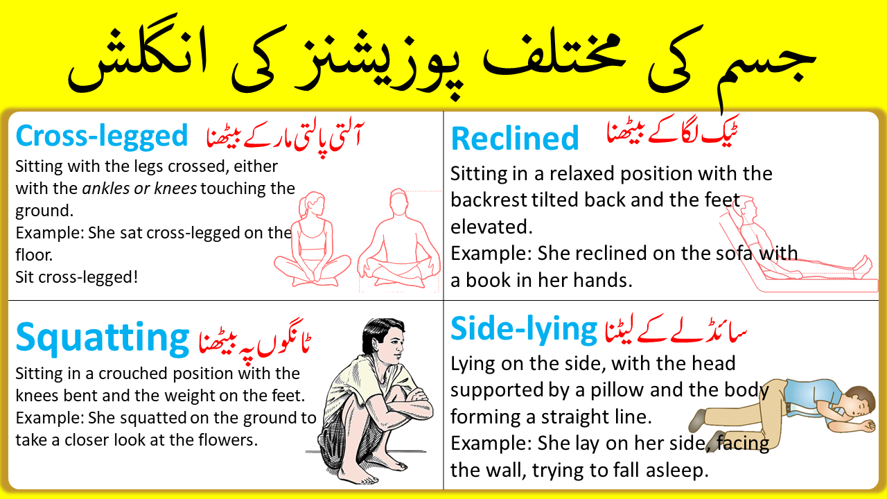 body-positions-vocabulary-words-with-urdu-meaning-pdf-angrezify