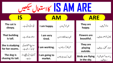 English Vocabulary In Urdu For Body Actions And Movements - Angrezify